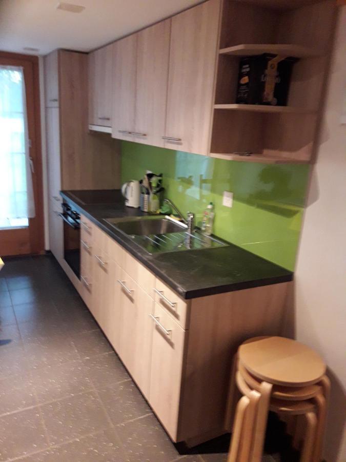 Ferienwohnung Gafner Brienz  Dış mekan fotoğraf