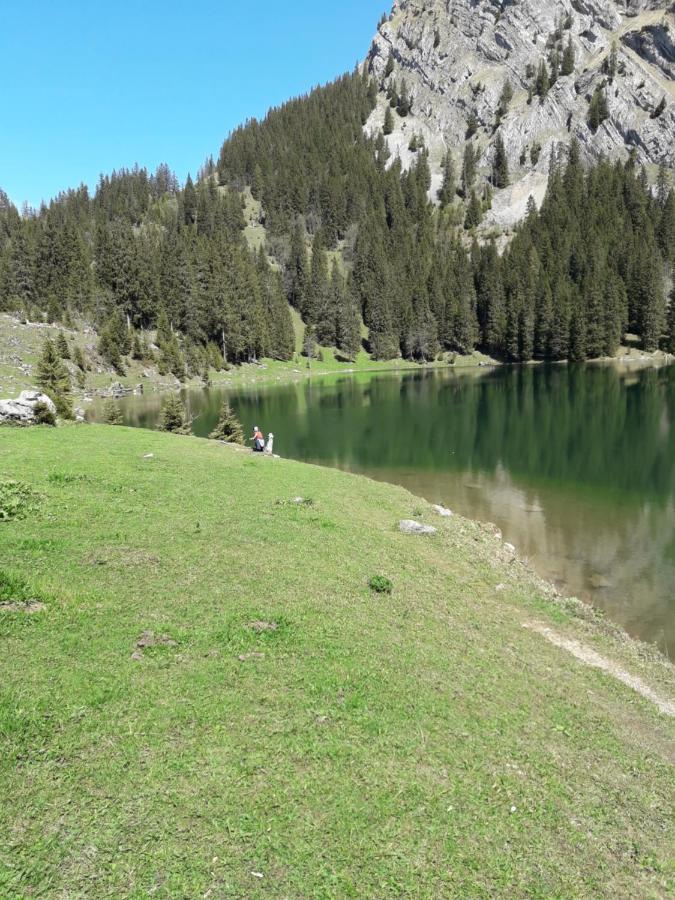 Ferienwohnung Gafner Brienz  Dış mekan fotoğraf